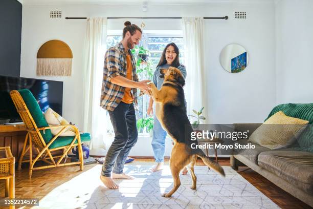 aufnahme eines jungen paares, das mit seinem hund spielt - contemporary couple stock-fotos und bilder