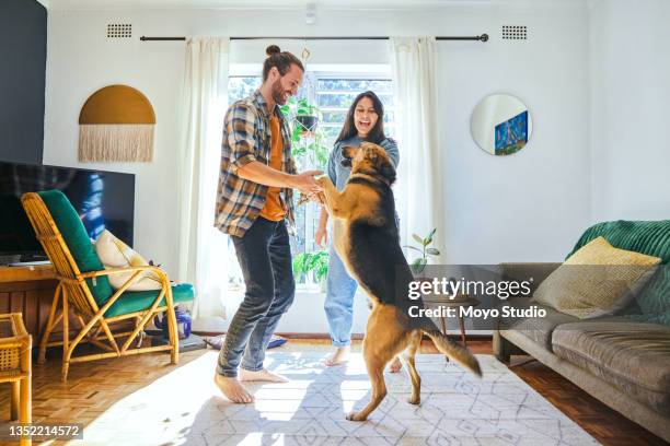 foto de una joven pareja jugando con su perro mascota - hogar fotografías e imágenes de stock