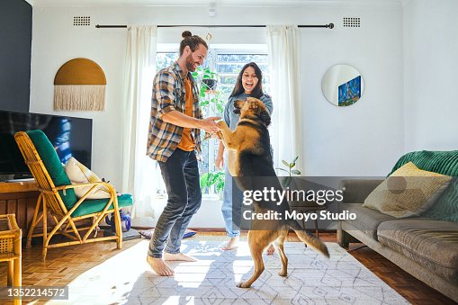 Shot of a young couple playing with their pet dog Shot of a young couple playing with their pet dog