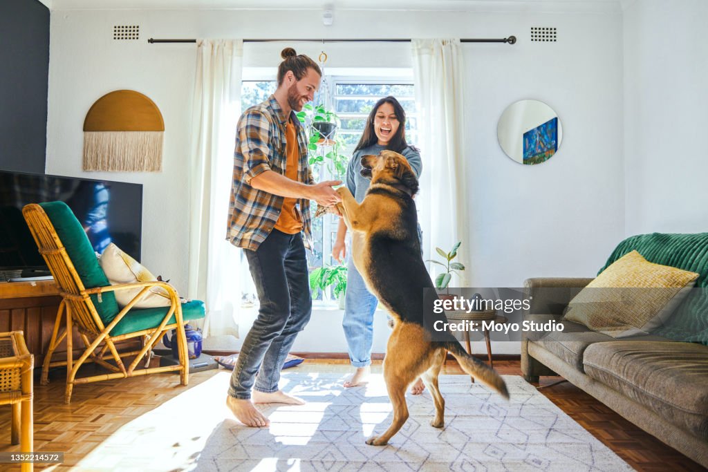 Shot of a young couple playing with their pet dog