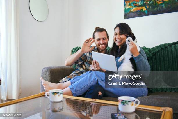 shot of a young couple having a video call using their digital tablet while holding their cat - cat tablet stock pictures, royalty-free photos & images