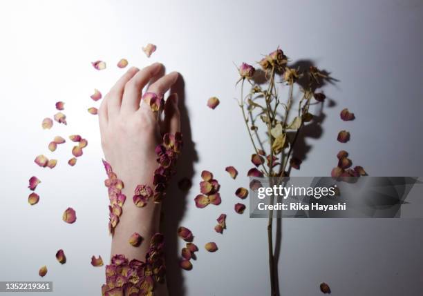 petals lined up like scales, covering her arms. - flowers in a row stock pictures, royalty-free photos & images