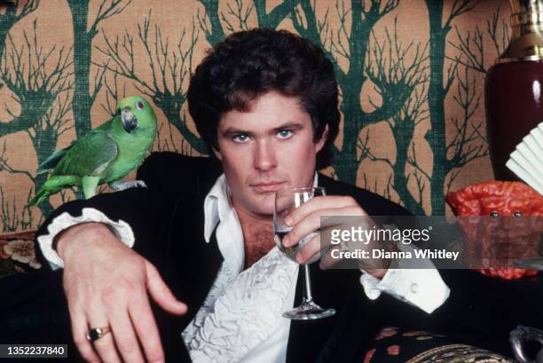 Actor David Hasselhoff poses for a portrait circa 1985 in Los Angeles City.