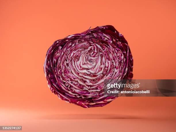 halved red cabbage against an orange background - hovering fotografías e imágenes de stock