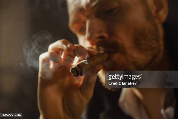 nahaufnahme eines männlichen gesichts mit blondem bart, das in einem professionellen studio eine zigarre in einem schönen licht raucht - cigar stock-fotos und bilder