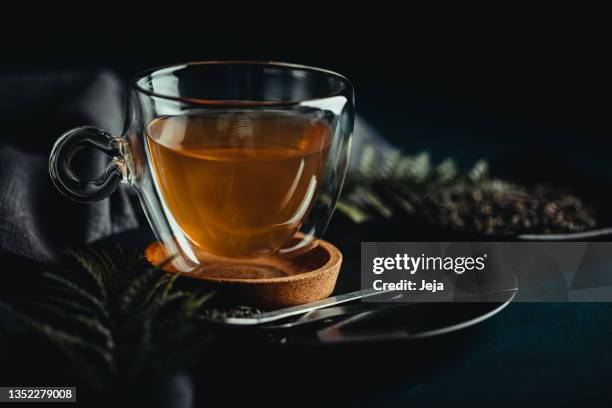 tasse kräutertee - kräutertee stock-fotos und bilder