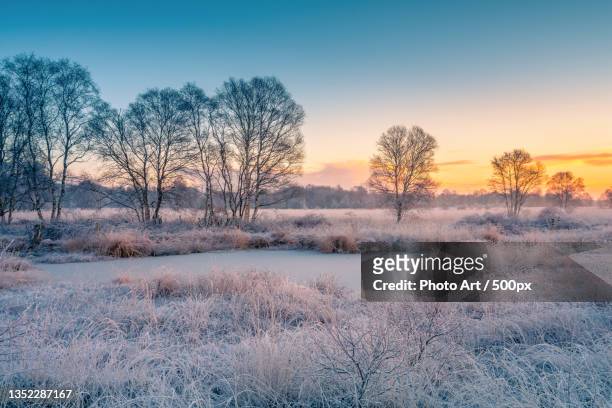 scenic view of snow covered field against sky during sunset,ostfriesland,germany - snow on grass stock pictures, royalty-free photos & images