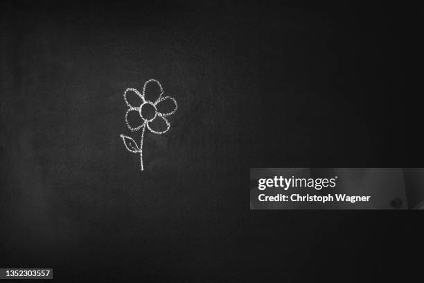 kreide tafel - blume - flowers chalk drawings stock-fotos und bilder