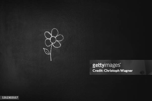 kreide tafel - blume - flowers chalk drawings stock pictures, royalty-free photos & images