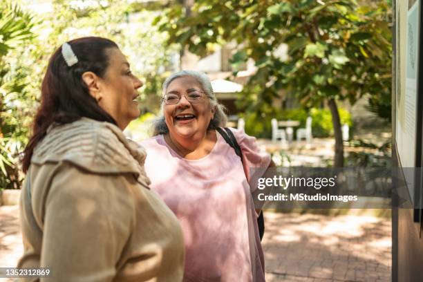 two old friend talking - sunny day stock pictures, royalty-free photos & images