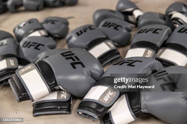 Modelo Ufc Ufc Modelo Photos and Premium High Res Pictures - Getty Images