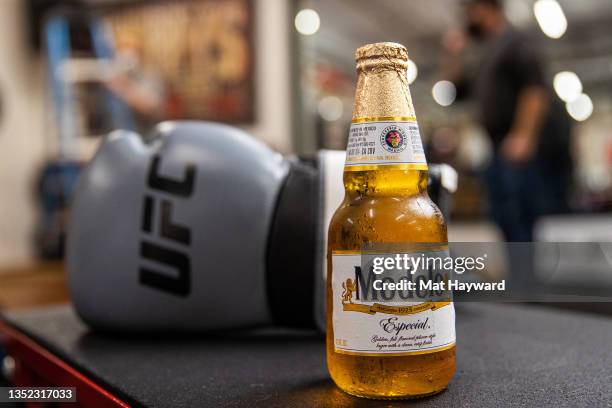 Modelo Ufc Ufc Modelo Photos and Premium High Res Pictures - Getty Images