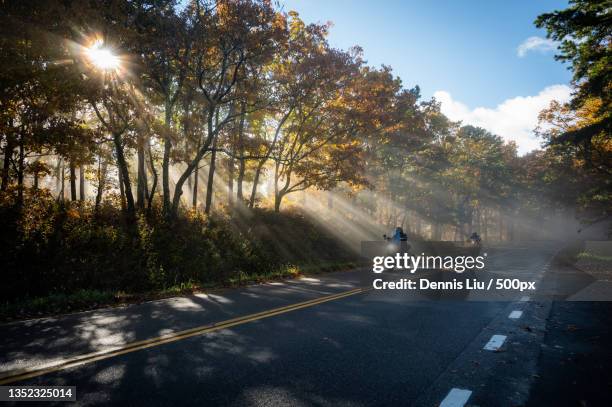 man riding motorcycle on road amidst trees,shenandoah national park,virginia,united states,usa - motorbike ride stockfoto's en -beelden