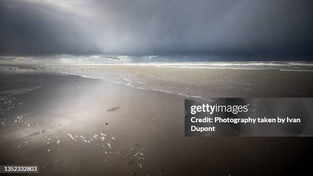 ciel menaçant sur la plage - ciel menaçant stock-fotos und bilder