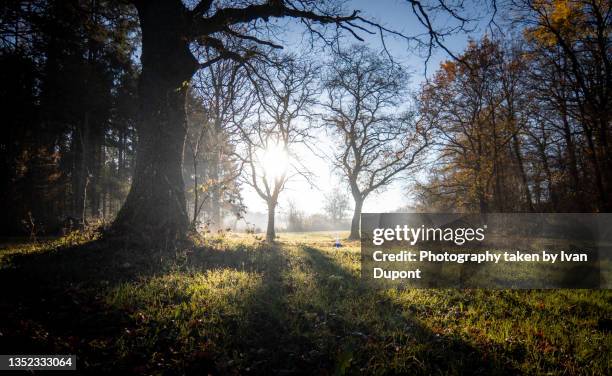 un matin d'automne - provincie namur stockfoto's en -beelden