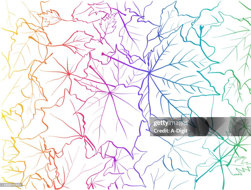 Maple Leaves On The Ground Rainbow