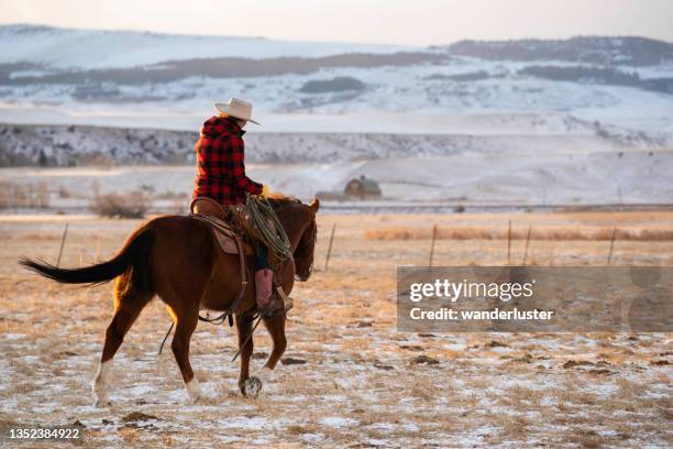 montana ranching - bozeman stock pictures, royalty-free photos & images