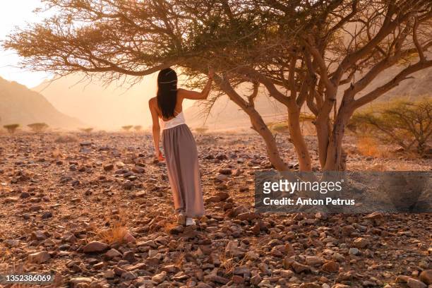 beautiful woman at rocky desert in fujairah mountains at sunset, united arab emirates - hot arabian women stock pictures, royalty-free photos & images