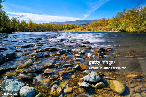 sunny autumn day on the taiga river in the sayan mountains - río del este fotografías e imágenes de stock