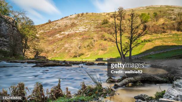 dovedale stepping stones - river dove stock pictures, royalty-free photos & images