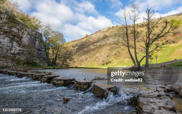 dovedale stepping stones - dovedale stockfoto's en -beelden