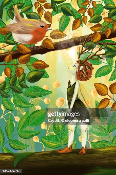 the fairy and the robin - woodland fairy costume stock pictures, royalty-free photos & images