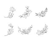 Flowers borders. Hand drawn line botanical elements frames. Floral decor, wedding invitation, cards and posters design elements. Vector contemporary botanic set