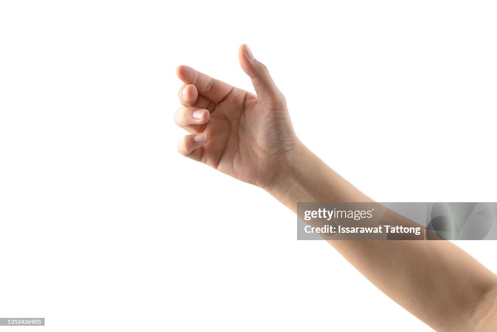 Woman's hands holding something empty isolated on white background.