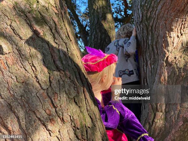 kinder klettern in einem baum - kind sinterklaas stock-fotos und bilder