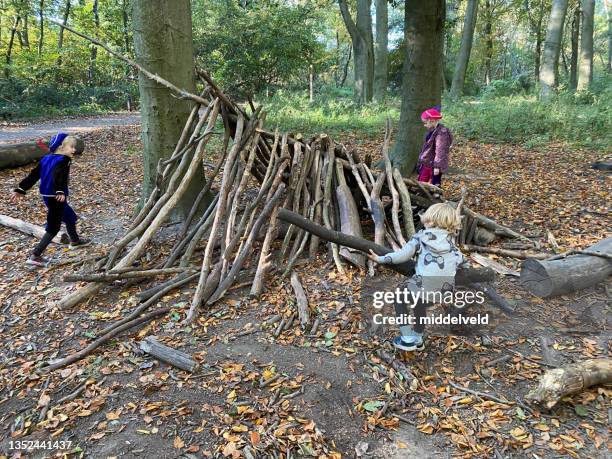 enfants faisant une cabane avec feu de camp - cabane structure bâtie photos et images de collection