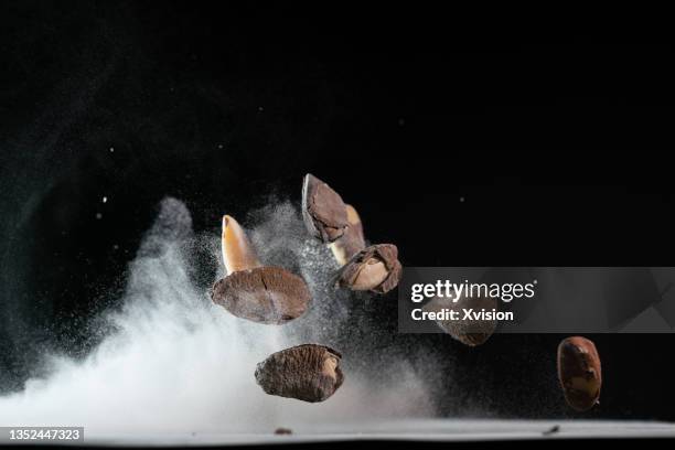 brazil nuts flying in mid air in black background - nuts stock pictures, royalty-free photos & images