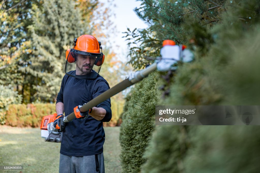 Trimming hedge with power saw