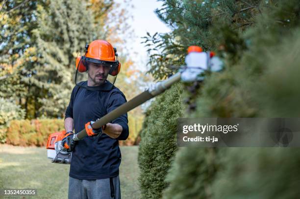 trimming hedge with power saw - hortikultur bildbanksfoton och bilder