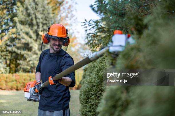 trimming hedge with power saw - professional landscapers stock pictures, royalty-free photos & images