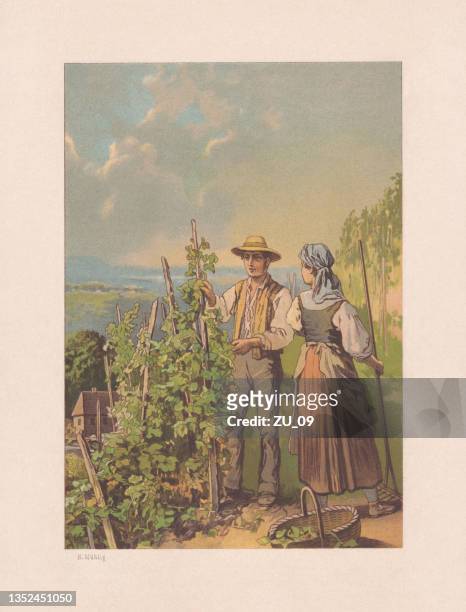 ilustraciones, imágenes clip art, dibujos animados e iconos de stock de pareja de enólogos en el viñedo, cromolitografía, publicada en 1890 - viñedo