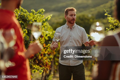 Felices enotecas degustando vino en viñedo Felices enotecas degustando vino en viñedo