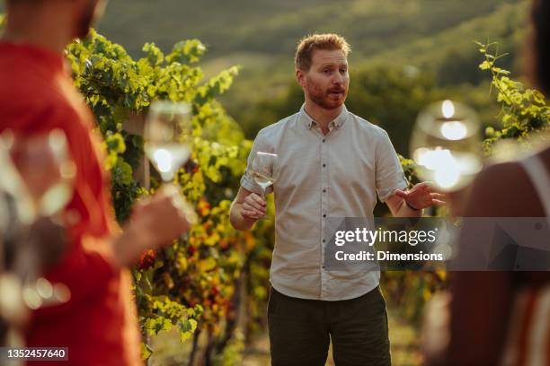 happy wine tourists tasting wine in vineyard - sommelier stockfoto's en -beelden