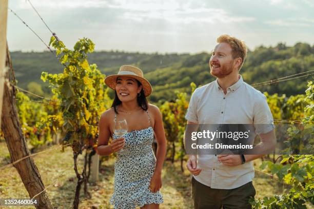 wine time in the vineyard - romantic picnic stockfoto's en -beelden