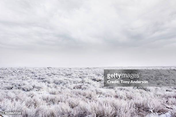 clouds over winter landscape - snow on grass stock pictures, royalty-free photos & images