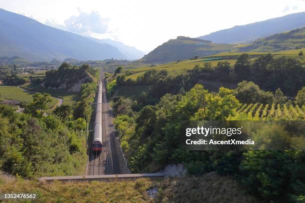 malerische aussicht auf den zug, der an üppigen weinbergen vorbeifährt - kanton wallis stock-fotos und bilder