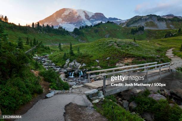 scenic view of mountains against sky,mount rainier national park,washington,united states,usa - mount rainier nationalpark stock-fotos und bilder