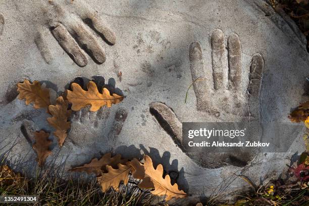 handprints of modern people on a concrete stone or slab. the concept of a family heirloom, memory. family values. yellow fallen dry autumn oak leaves. - stamped concrete stockfoto's en -beelden