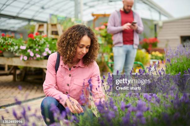 garden center shoppers - tuincentrum stockfoto's en -beelden