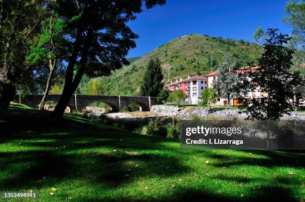 stone bridge over the oja river in ezcaray - スペイン ラリオハ州 ストックフォトと画��像