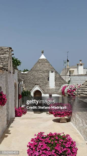 trulli of alberobello - trulli stock-fotos und bilder