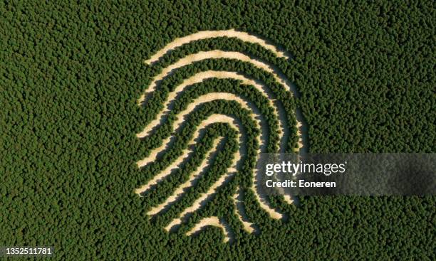 deforestation in shape of human fingerprint - ecology stock pictures, royalty-free photos & images