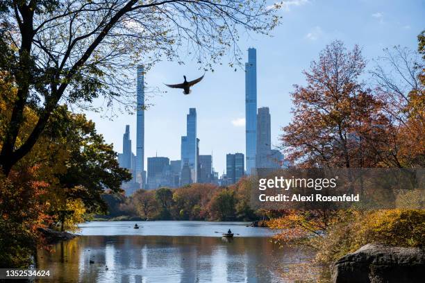Bird flies above people in row boats on The Lake in Central Park during the fall foliage with a view of the Manhattan skyline in the background on...