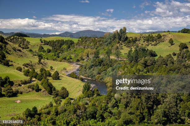new zealand countryside - waikato region stock pictures, royalty-free photos & images