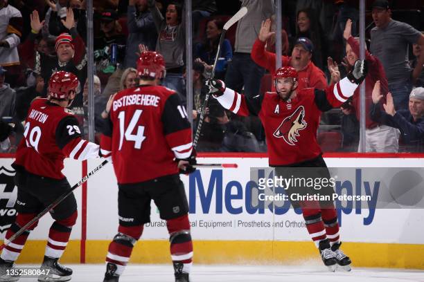 Andrew Ladd of the Arizona Coyotes celebrates after scoring a goal against the Minnesota Wild during the first period of the NHL game at Gila River...