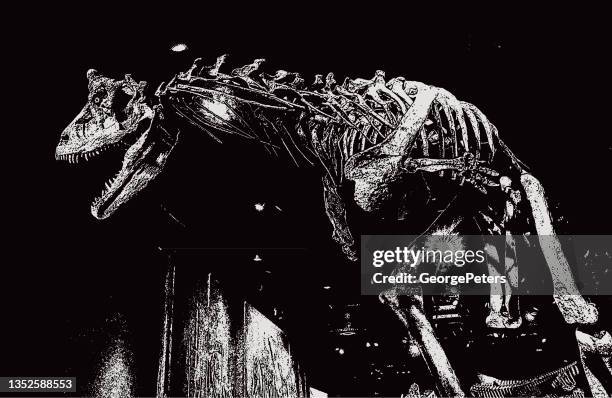 ilustrações de stock, clip art, desenhos animados e ícones de scary dinosaur skeleton - carnotaurus